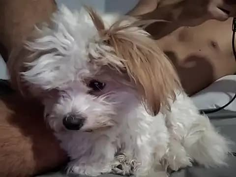 ako0802 live cam