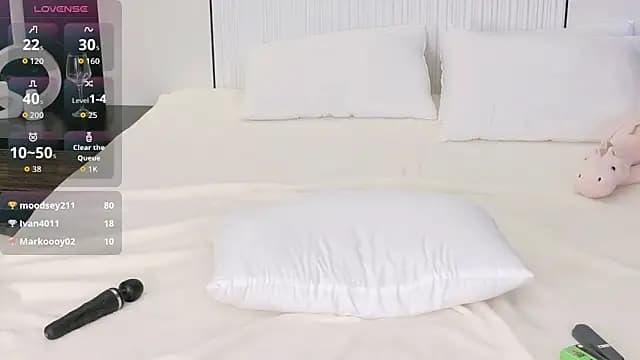flora_puffini live cam