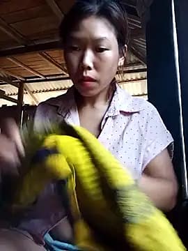Ngocmi909 live cam