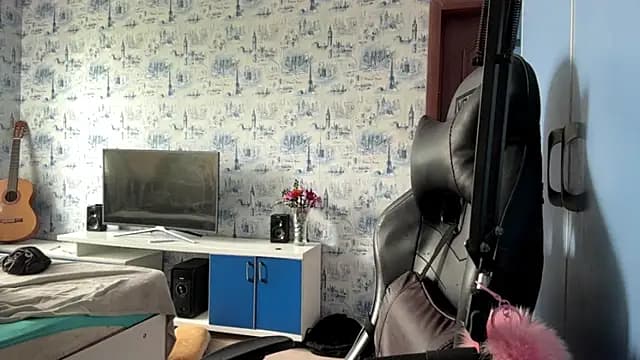 PlumbicPart live cam