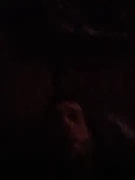 ySqmbVanbe live cam