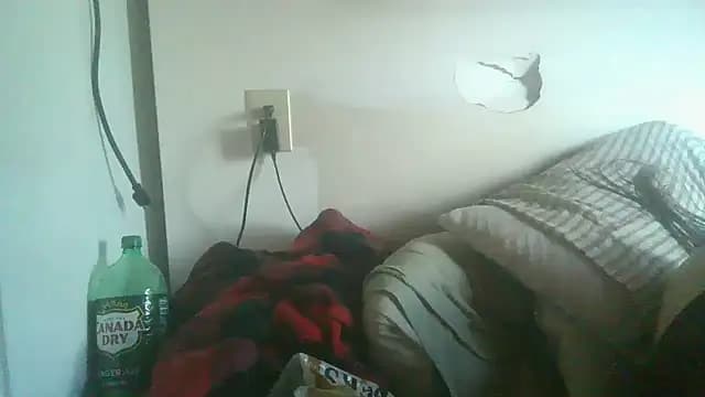 dandonn live cam
