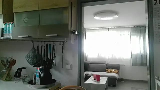 pimmelmann3 live cam