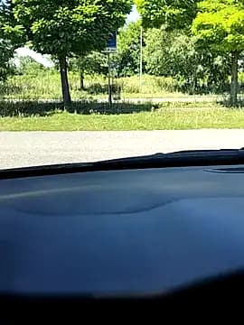 pegaso369 live cam