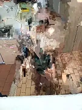 caballota77 live cam