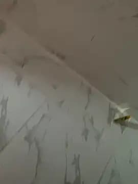 hott-boyyy live cam