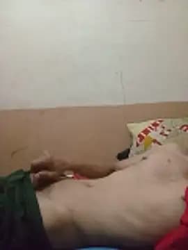 segnini21 live cam