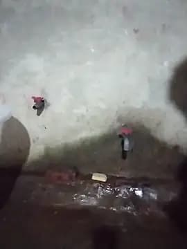 Sea-ice live cam