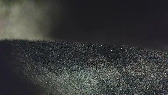 0SEANX live cam