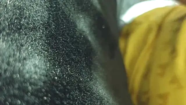 0SEANX live cam