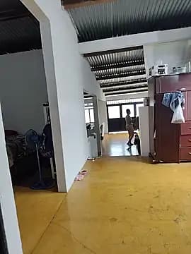 LuluDream live cam