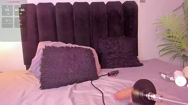 PeytonRouse1 live cam