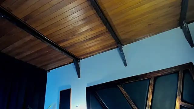 EmiliWilliams live cam