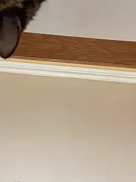 LittleMissEeve live cam