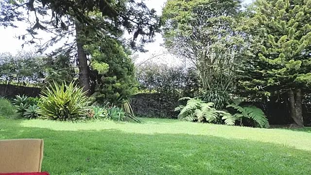 Angiehuston1 live cam