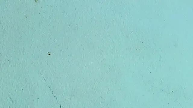 Melissa_Adamsx live cam