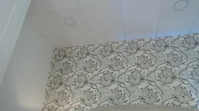 Venusandrea29 live cam