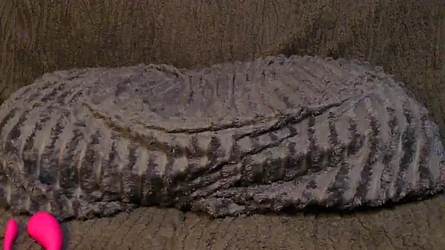 AfricanGodesss live cam