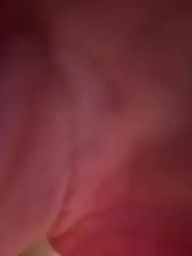 bambi_lu live cam