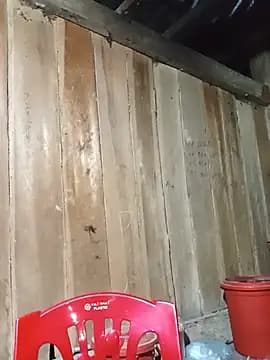 Ngocmi909 live cam