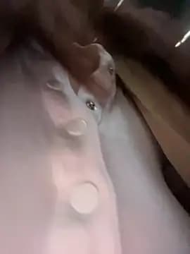 NataKitten live cam
