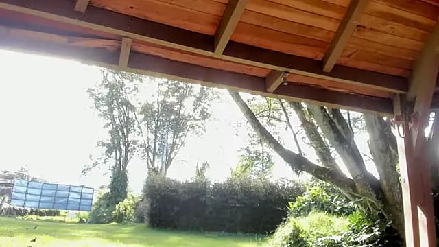 Angiehuston1 live cam