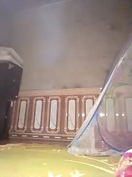 daily-ly live cam