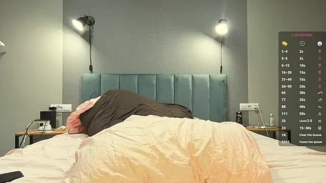 Veluxe live cam