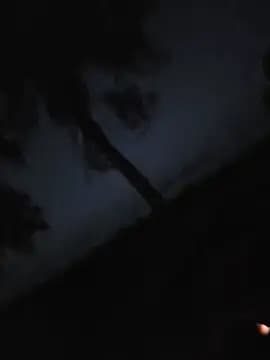 DivaDivine_Exclusive live cam
