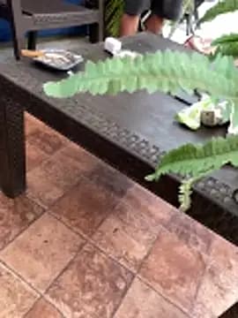dantedesirexx live cam