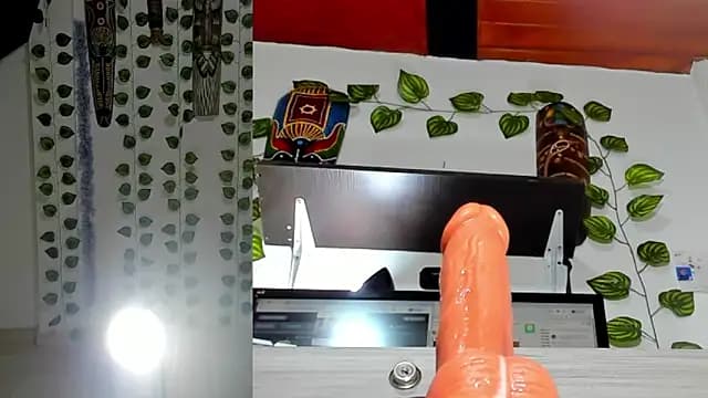 bella__funny live cam