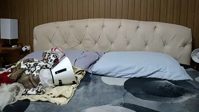 Kellynha_Sweet live cam