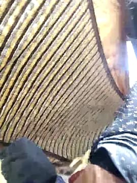 Babita_Gori live cam