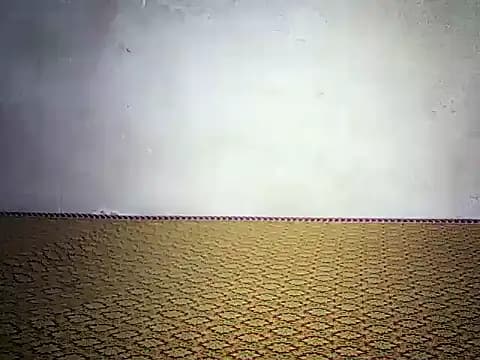 spicymariana live cam