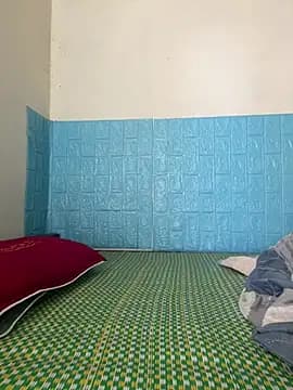bingbo123 live cam
