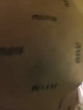 gwen-lady live cam
