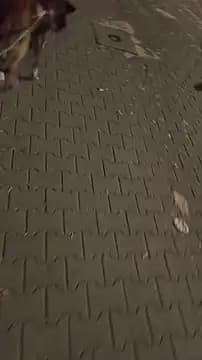 MarekPublicShow live cam