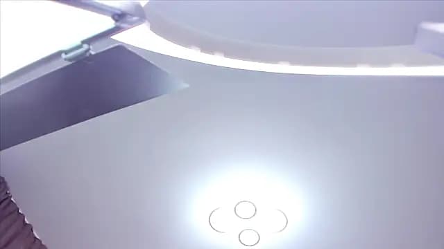 fireflowers_ live cam