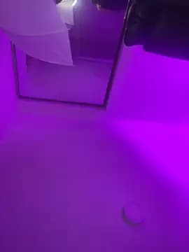 noah_ec live cam