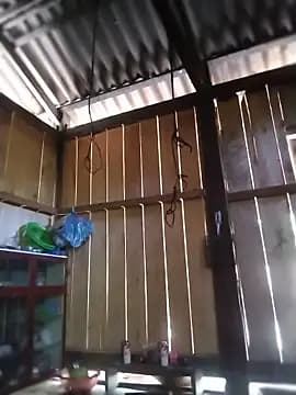 mylove-cute live cam