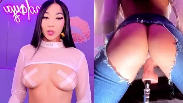 ZendayaGrey live cam