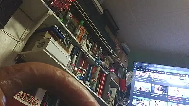 0SEANX live cam