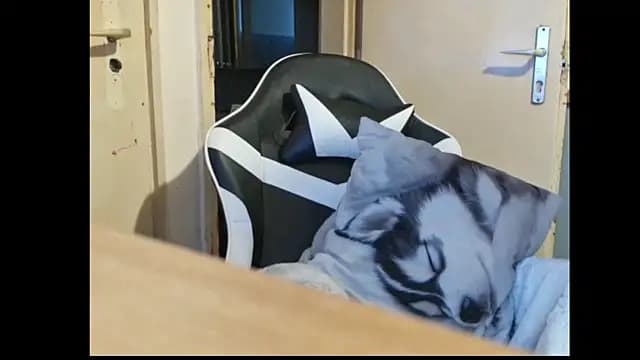 Sexycouple3518 live cam