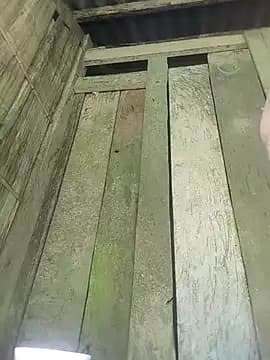 opna43 live cam