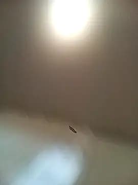 Anonim_00 live cam