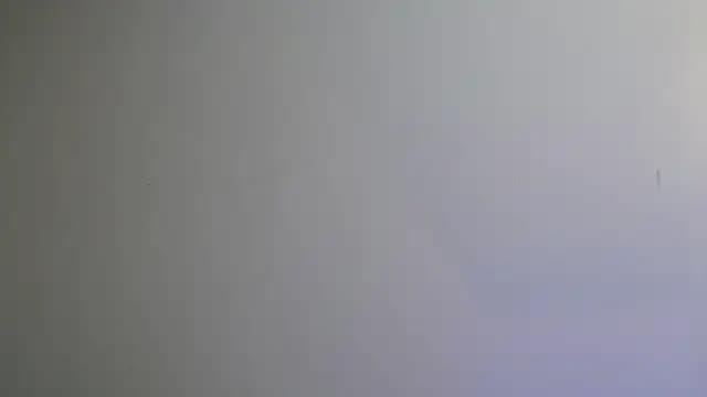 IslaScott live cam