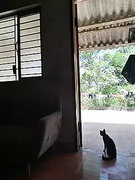 gugu0022 live cam
