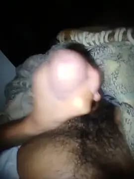 pauviciantegg live cam