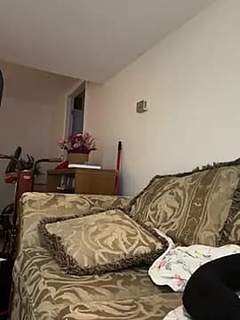KOdaLion live cam