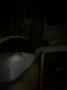 GusanoDelicioso live cam